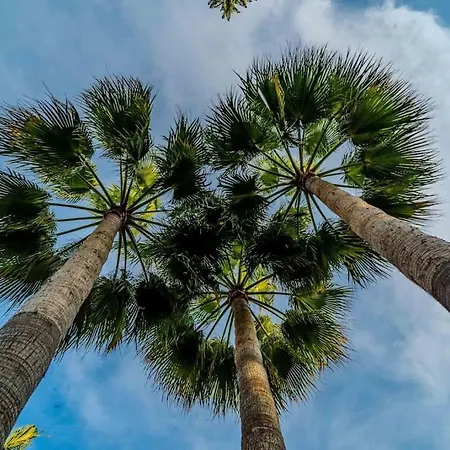 Cozy In Marbella-estepona