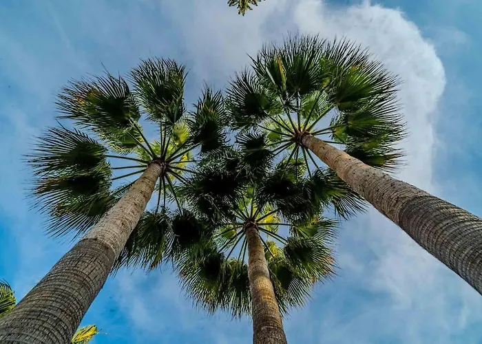 Cozy In Marbella-estepona